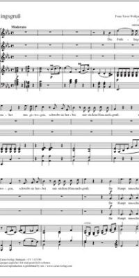 Bach: Fürchte Dich Nicht, Ich Bin Bei Dir BWV 228