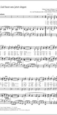 Ein Lied lasst uns jetzt singen