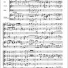 Bruckner: Ave Maria WAB 5 (Partituur)