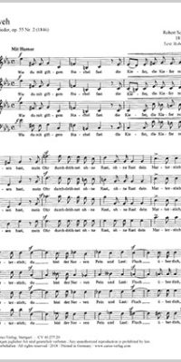 Schumann: Zahnweh (Op.55 no. 2; c-Moll)