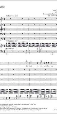 Franz Schubert: Nachthelle D 892