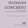 Telemann: Concerto in sol maggiore