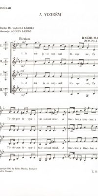 Schumann: A vizirém Op. 91