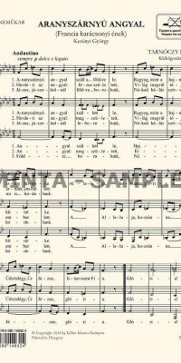 Tarnóczy: Aranyszárnyú angyal