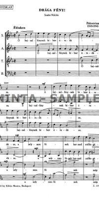 Palestrina: Drága fény !