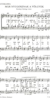 Bach: Már nyugosznak a völgyek ; Szerelmi panasz