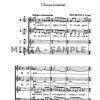 Petrovics: Triangulum