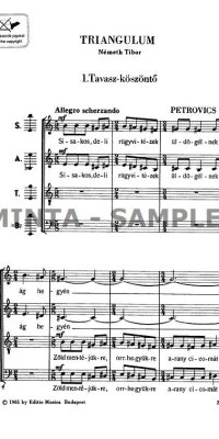 Petrovics: Triangulum
