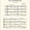 Bárdos: Tűz-szivárvány