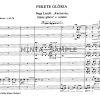 Fekete glória