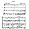 Musica notturna