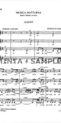Musica notturna