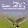 Hear The Sweet Lark Sing