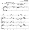 Appalachian Fiddler