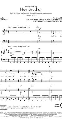 Avicii: Hey Brother (3-Part)