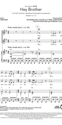 Avicii: Hey Brother (2-Part)