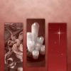 The Wondrous Gift