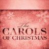 Joy to the World