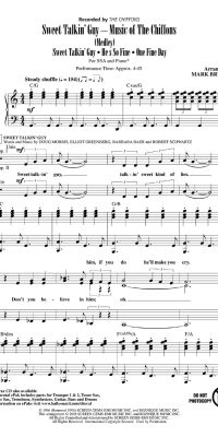Sweet Talkin' Guy - Music Of The Chiffons Medley