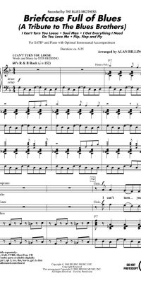 Briefcase Full of Blues(A Tribute to the Blues Brothers)