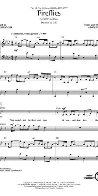 Owl City: fuereflies SAB