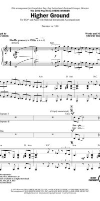 Stevie Wonder: Higher Ground SSA