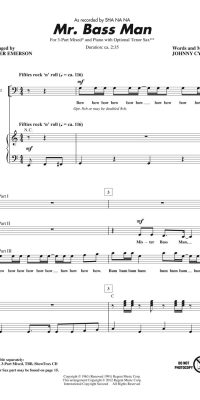 Sha Na Na: Mr. Bass Man (3-Stemmig)