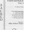 Finales Fantastique (Collection)