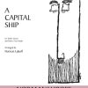 A Capital Ship (SSAA)