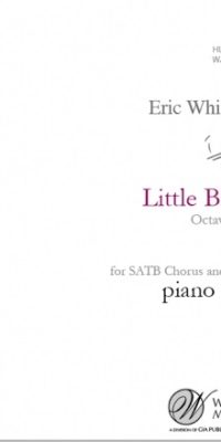 Eric Whitacre: Litte Birds (Pianoaccompaniment)