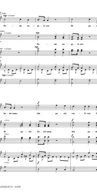 Cesar Franck: Panis Angelicus