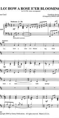 Lo, How a Rose E'er Blooming (SATB)