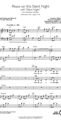 Peace on This Silent Night(with Silent Night)