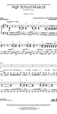 High School Musical(from High School Mus.3)