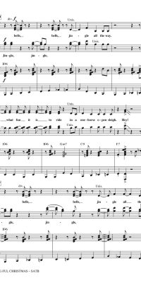A Glee-ful Christmas(Choral Medley)