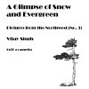 Glimpse Of Snow And Evergreen