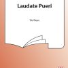 Vic Nees: Laudate Pueri