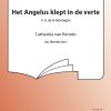 Het Angelus Klept In De Verte