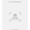Mozart: La Finta Semplice (Libretto)