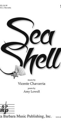 Sea Shell
