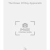 The Dawn Of Day Appeareth