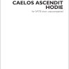 Owain Park: Caelos Ascendit Hodie (SATB)
