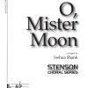 O Mister Moon