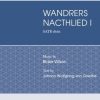 Wandrer's Nachtlied